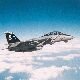 F-14 Tomcat Pirate