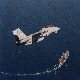 F-14 Tomcat