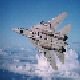 F-14 Tomcat glove vanes