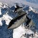 SR-71 Blackbird spy plane